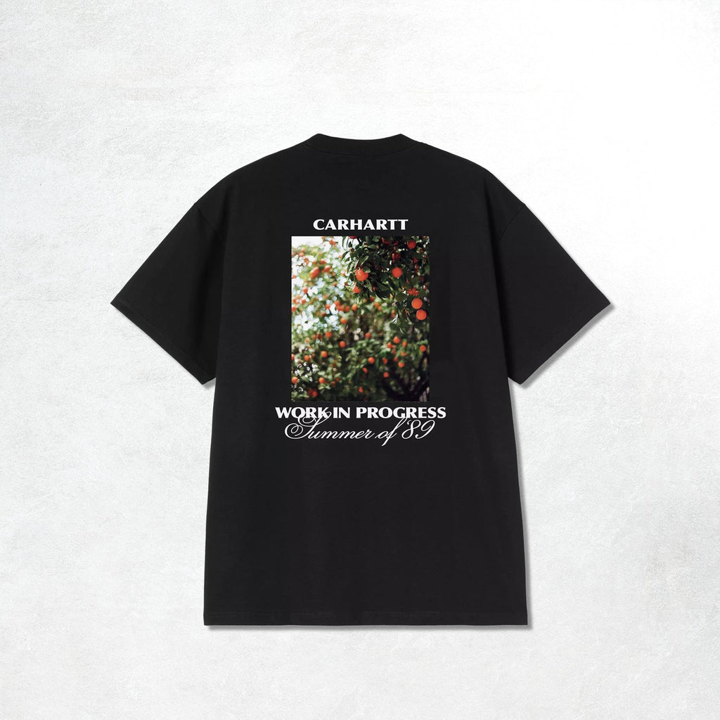 Carhartt WIP S/S Warm Views T-Shirt: Black