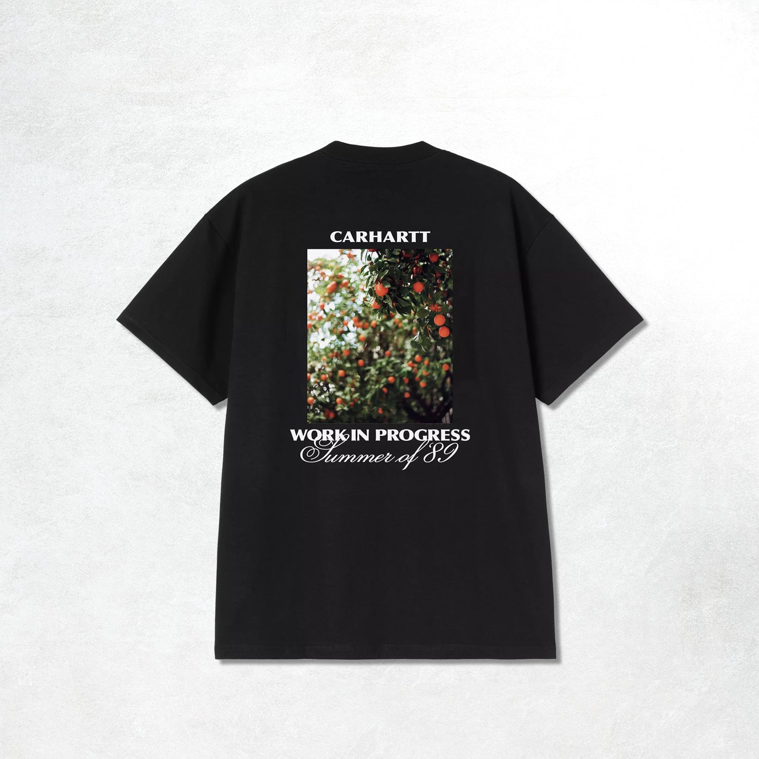 Carhartt WIP S/S Warm Views T-Shirt: Black